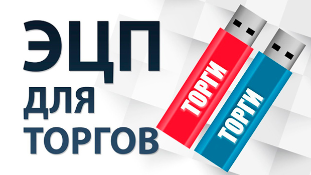 Электронная подпись (ЭЦП) на торгах по банкротству Электронная подпись (ЭЦП) на торгах по банкротству