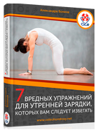Скачать книгу 7 вредных упражнений для утренней зарядки - Александра Бонина