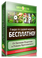 Скачать видеокурс по садовой хирургии! Евгений Федотов и Роман Врублевский помогут вам защитить и вылечить ваши деревья!